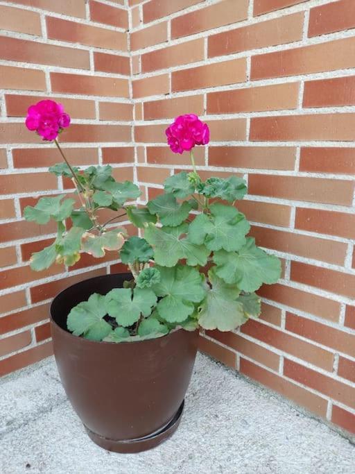 Camarles Casa Laurel 아파트 외부 사진